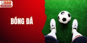 bóng đá