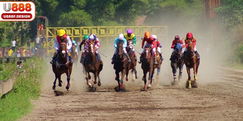 Loại cá cược đua ngựa cho newbie