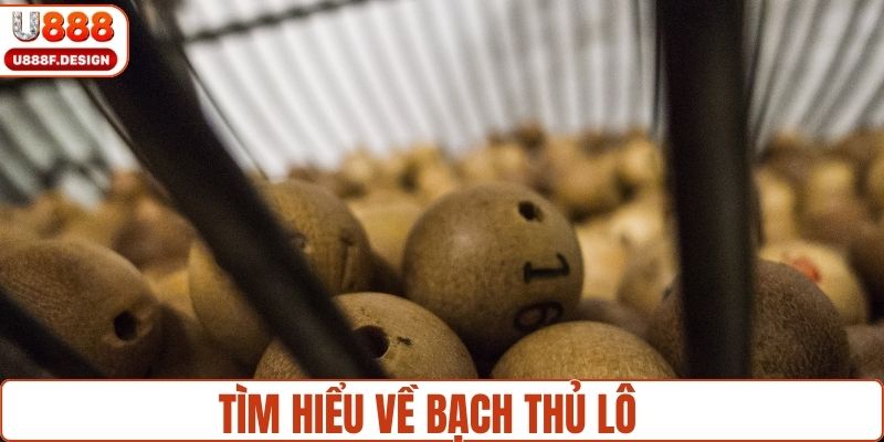 Tìm hiểu bạch thủ lô