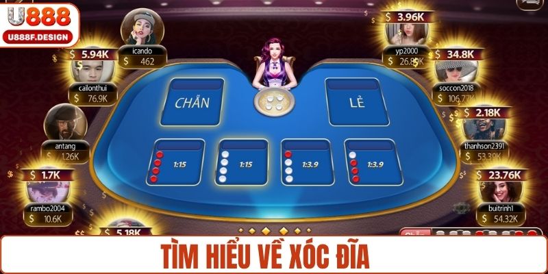 Tìm hiểu về xóc đĩa